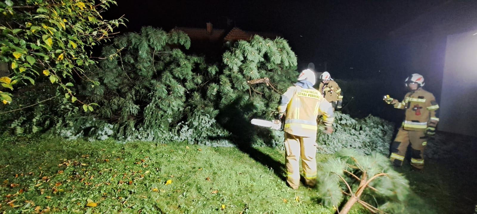 Skutki nocnych burz najsilniej odczuło Bielsko-Biała