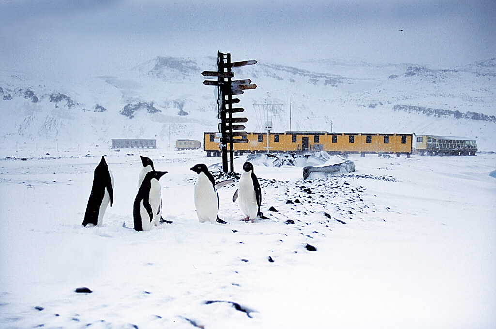 Stacja im. Henryka Arctowskiego na Antarktydzie