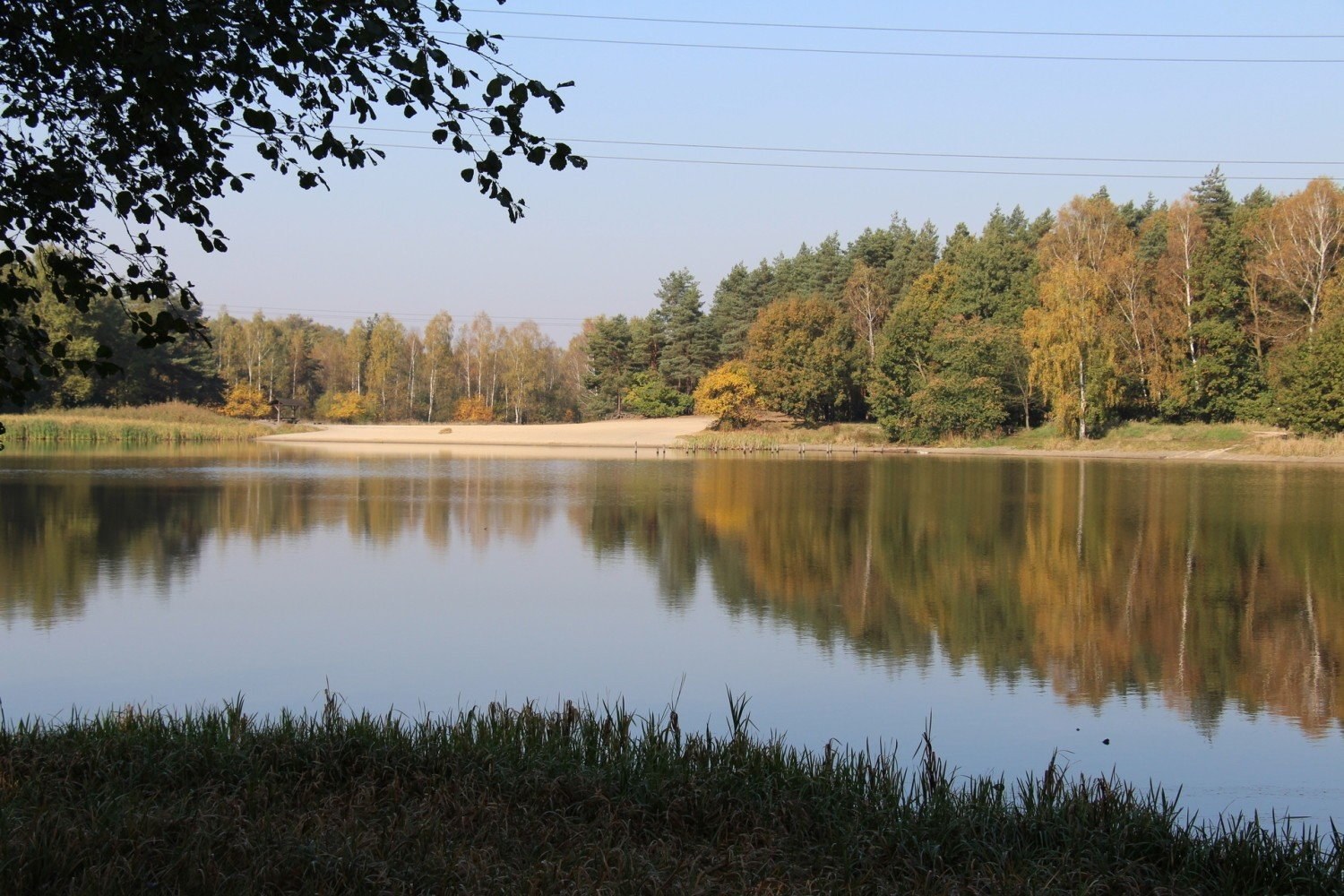 Staw Starganiec Mikołów