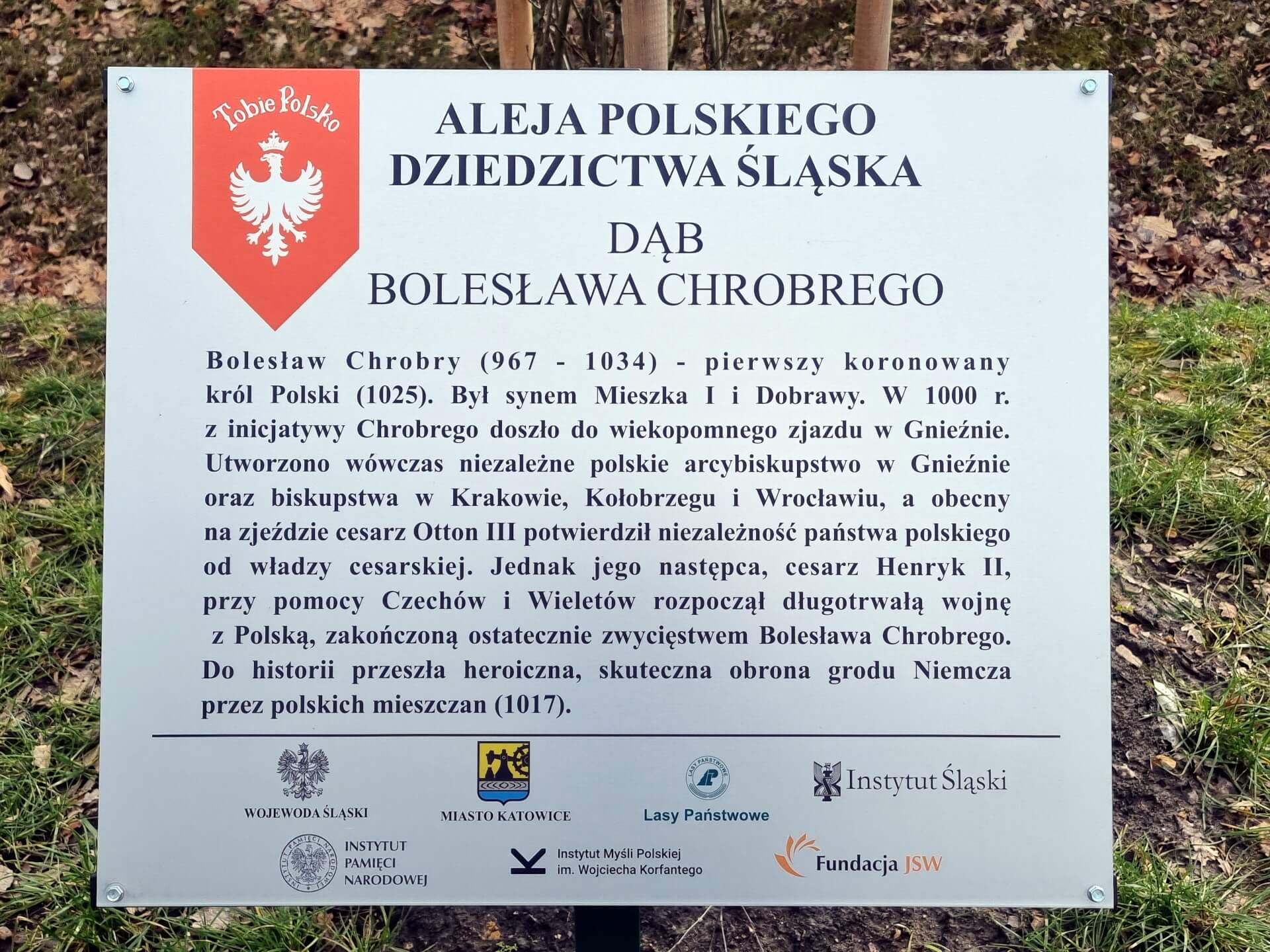 Tabliczka na dębie Bolesława Chrobrego w alei Polskiego Dziedzictwa Śląska 5