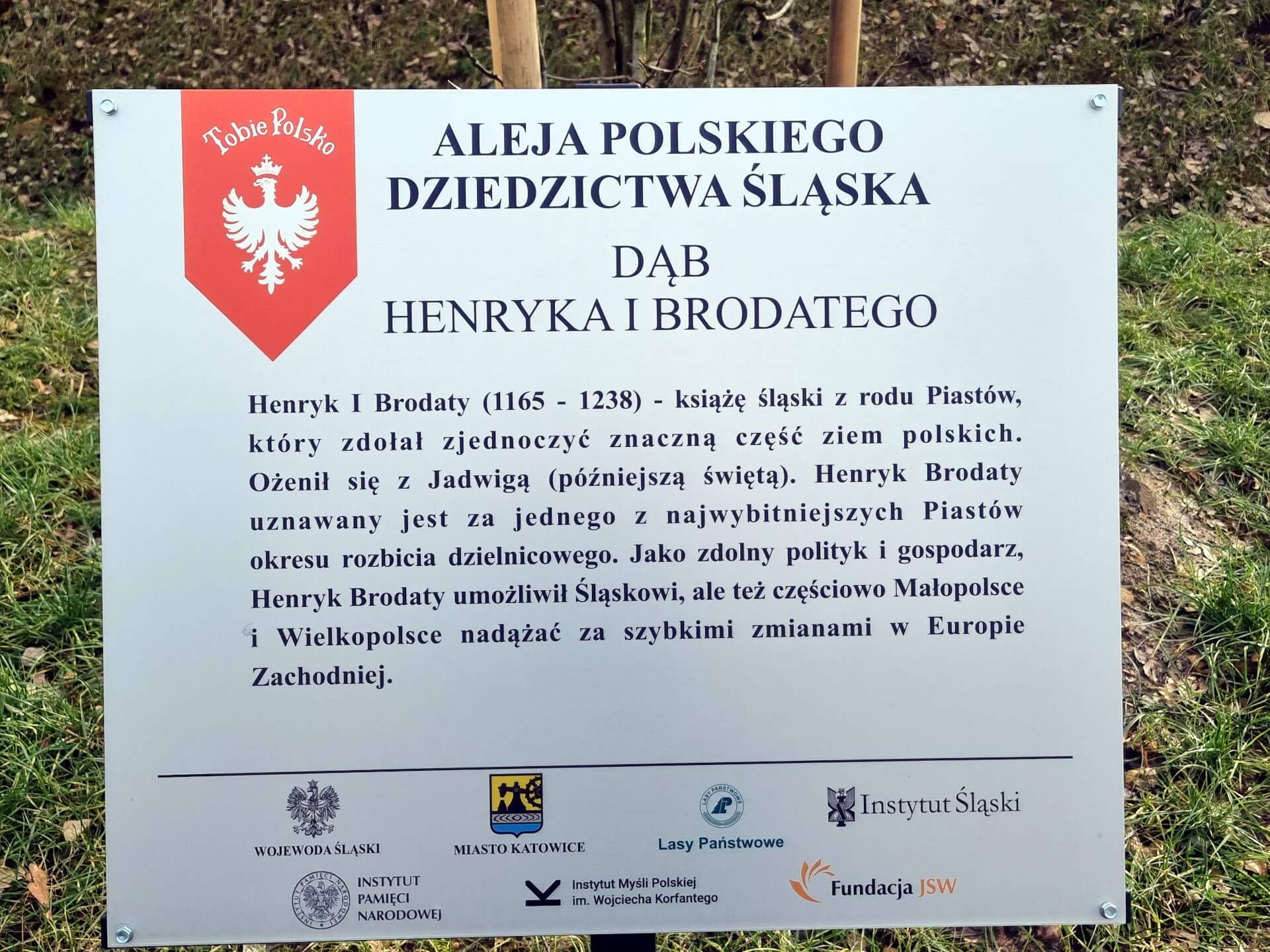 Tabliczka na dębie Henryka I Brodatego w alei Polskiego Dziedzictwa Śląska 7