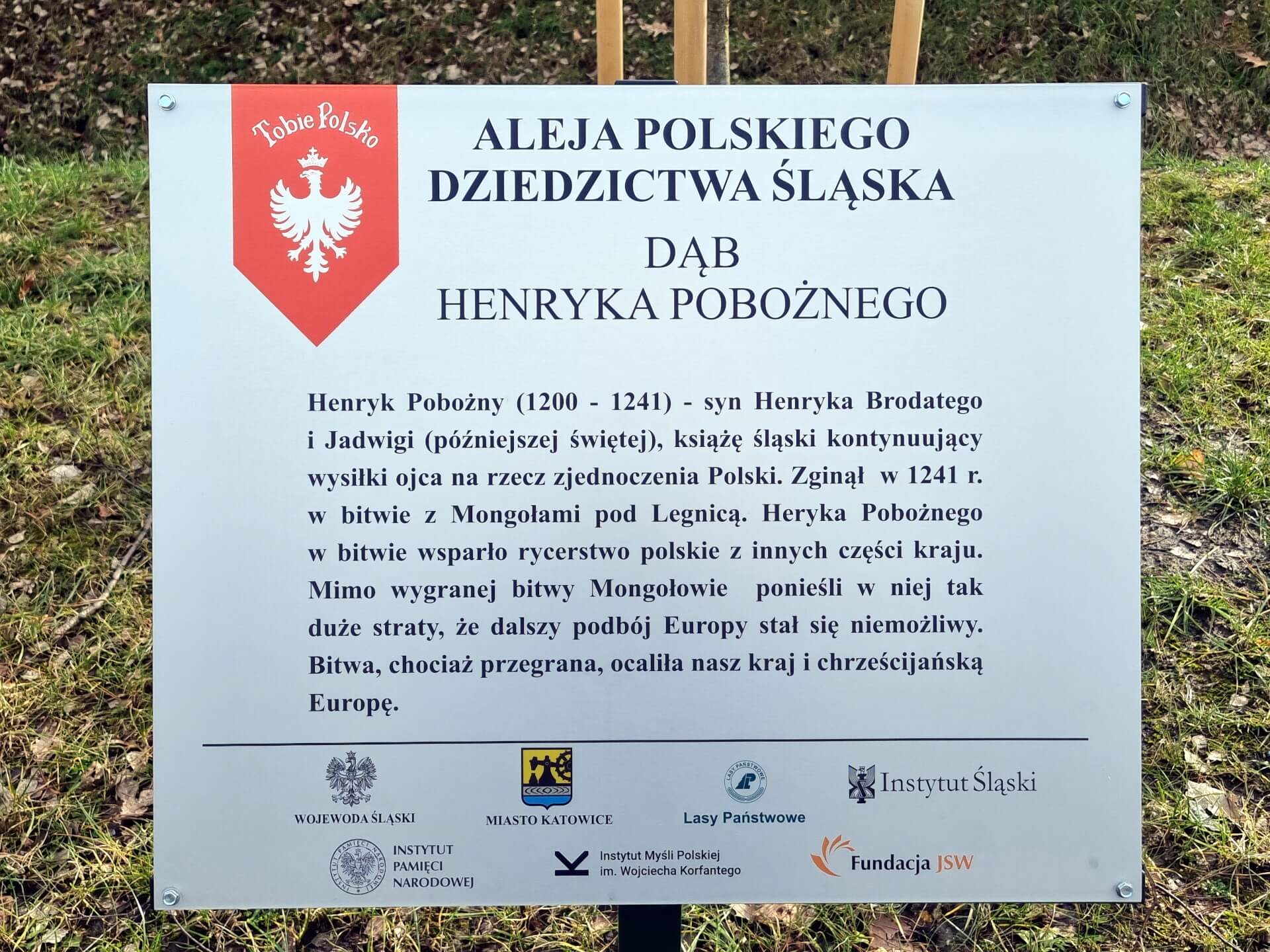 Tabliczka na dębie Henryka Pobożnego w alei Polskiego Dziedzictwa Śląska 8