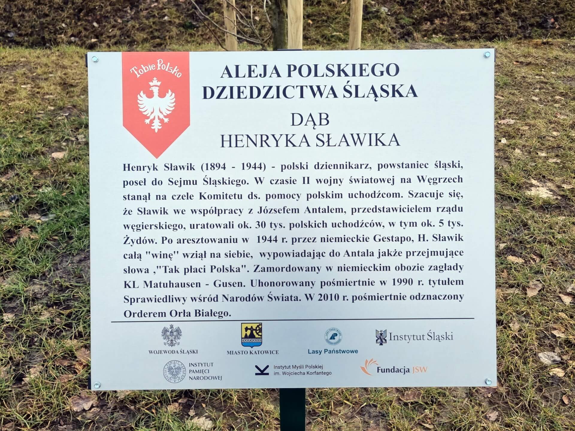 Tabliczka na dębie Henryka Sławika w alei Polskiego Dziedzictwa Śląska 17