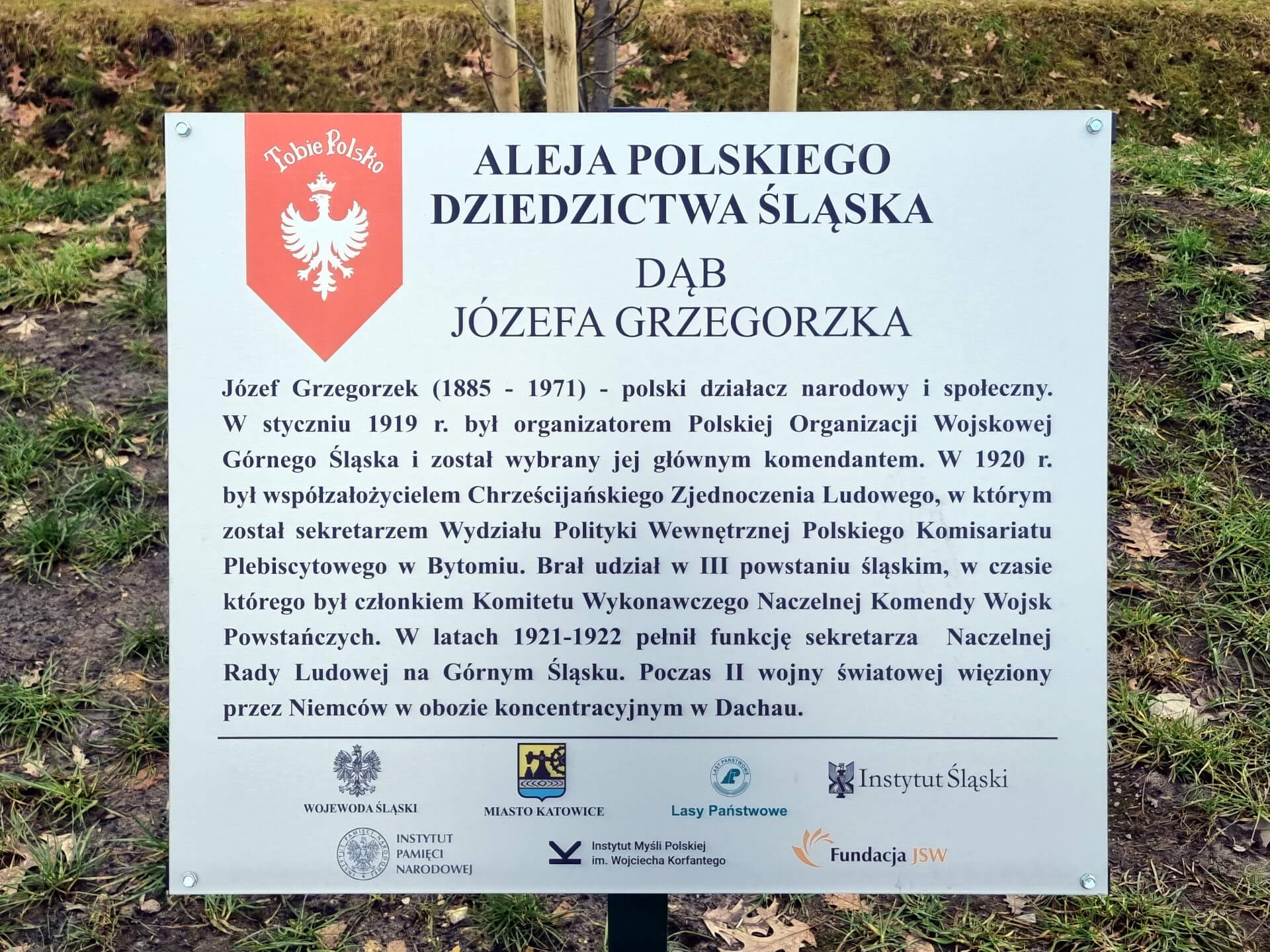 Tabliczka na dębie Józefa Grzegorzka w alei Polskiego Dziedzictwa Śląska 11