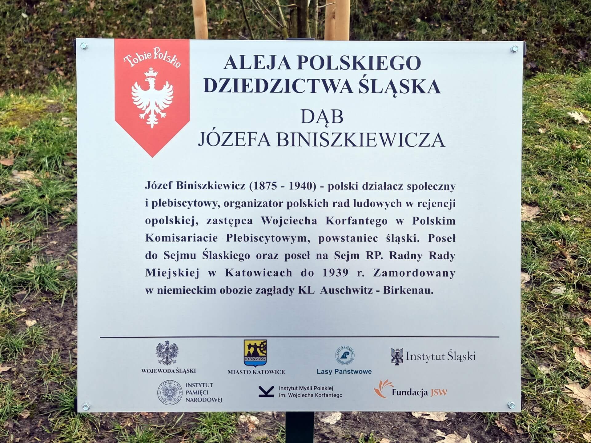 Tabliczka na dębie Józefe Biniszkiewicza w alei Polskiego Dziedzictwa Śląska 13