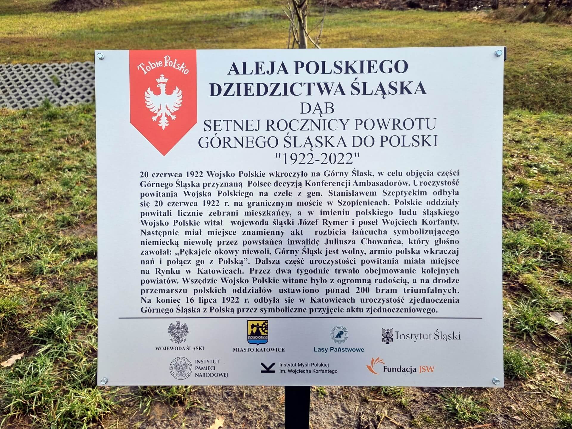 Tabliczka na dębie setnej rocznicy powrotu Górnego Śląska do Polski w alei Polskiego Dziedzictwa Śląska