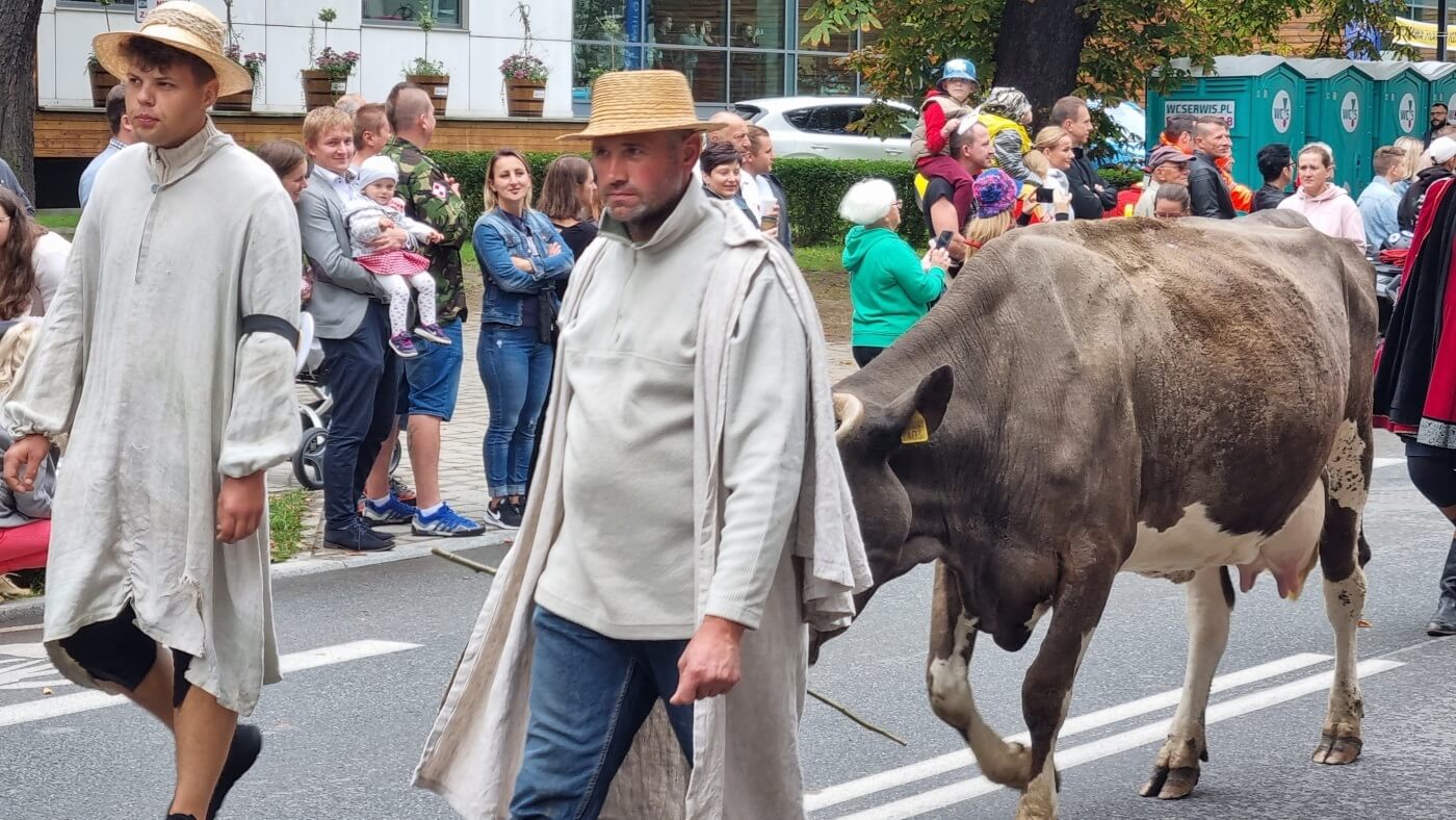 Pochód Gwarkowski w Tarnowskich Górach