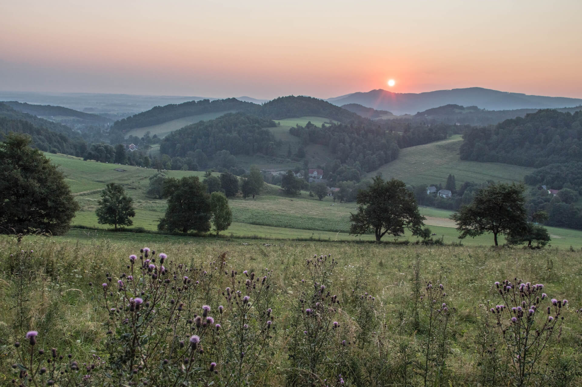 Tuł. Panorama