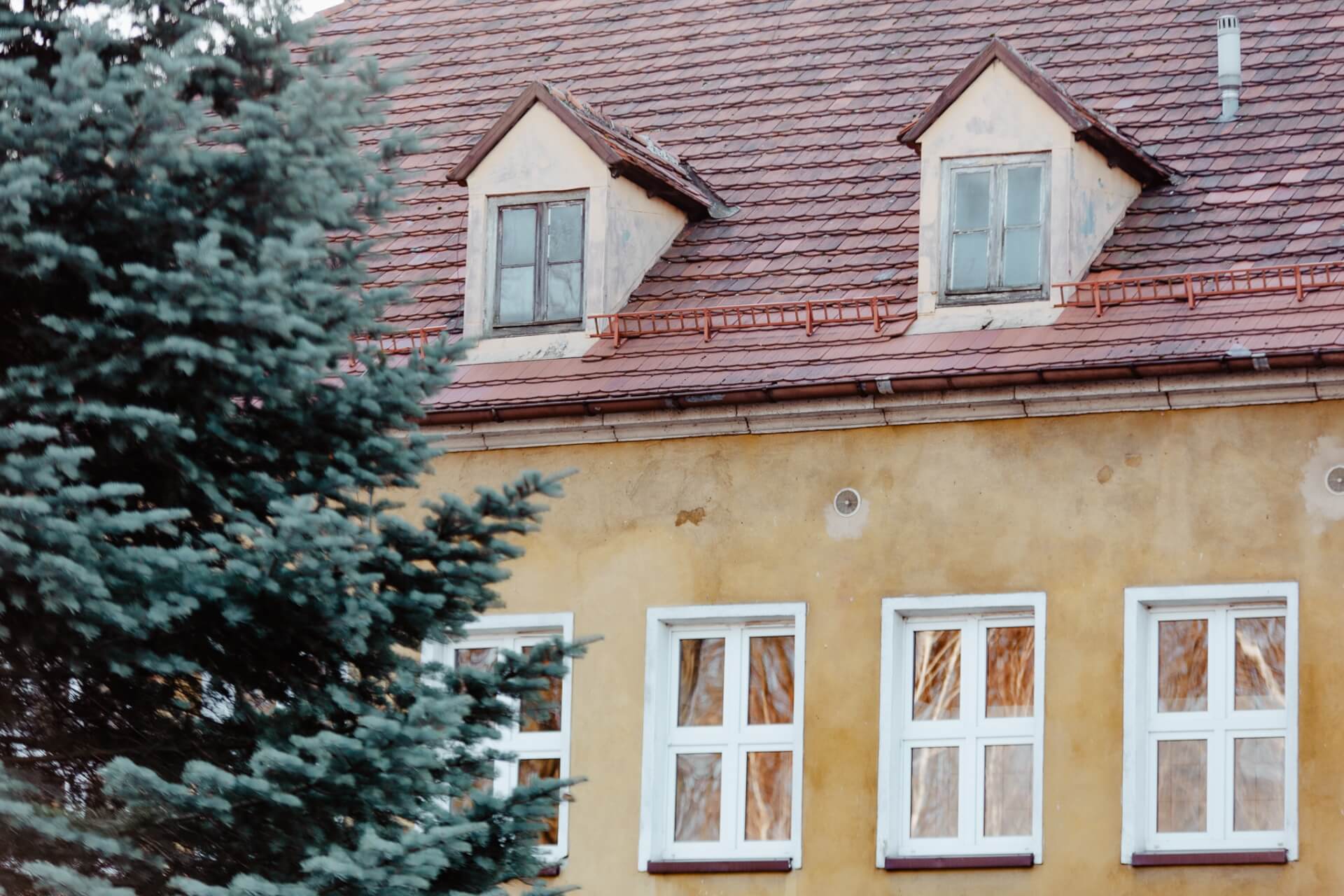 Wilcze Gardło