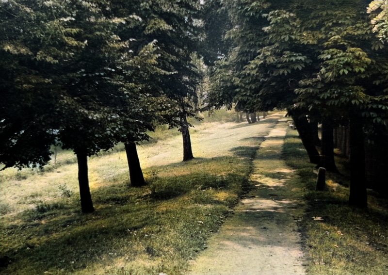 Wojewódzki Park Kultury i Wypoczynku, lata 50.