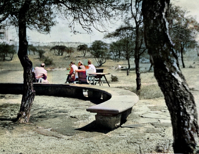 Wojewódzki Park Kultury i Wypoczynku, lata 50.