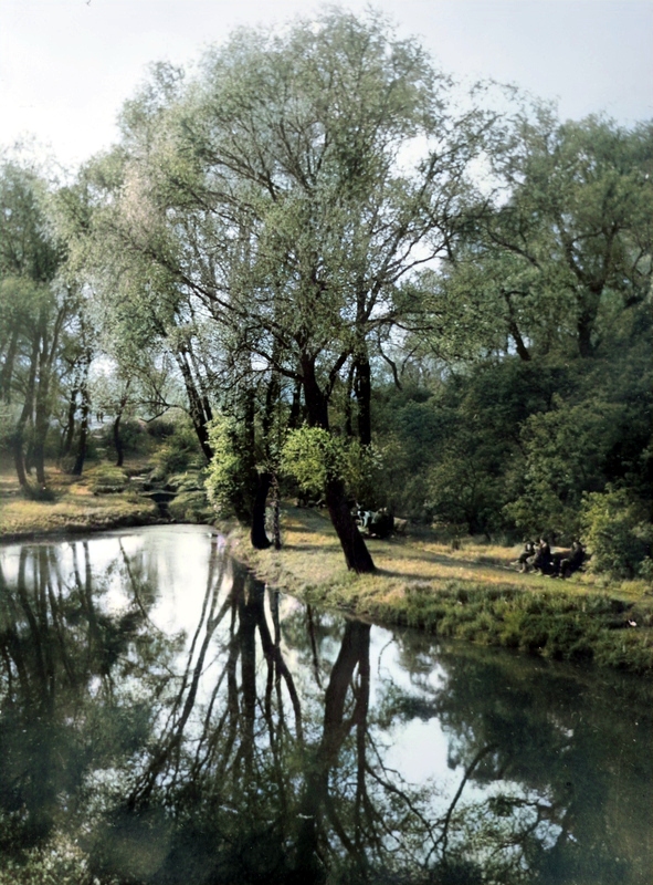 Wojewódzki Park Kultury i Wypoczynku, lata 50.