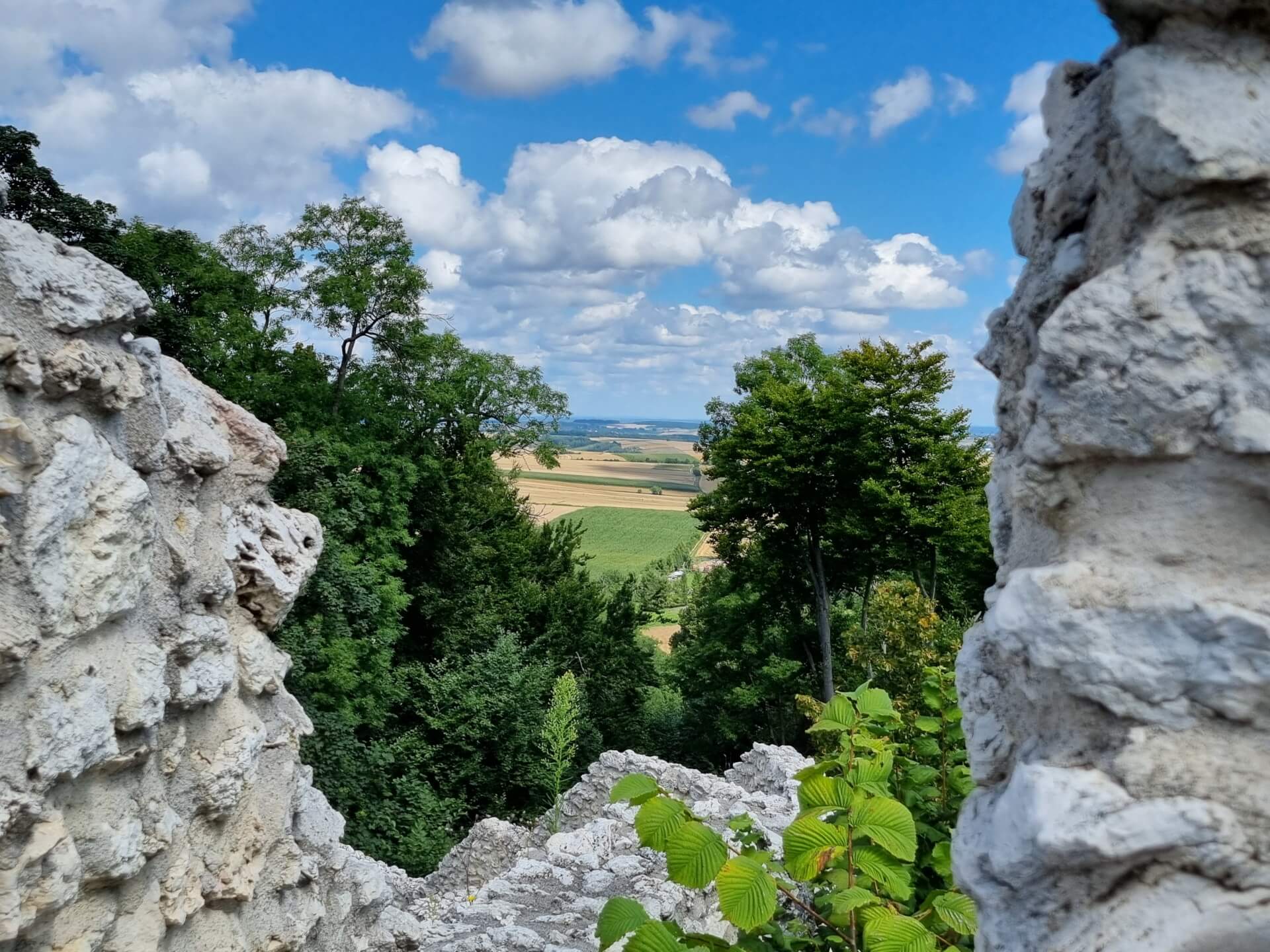 Zamek Pilcza w Smoleniu