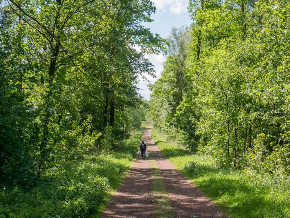 Zielona Trasa Rowerowa Rybnik - Żory