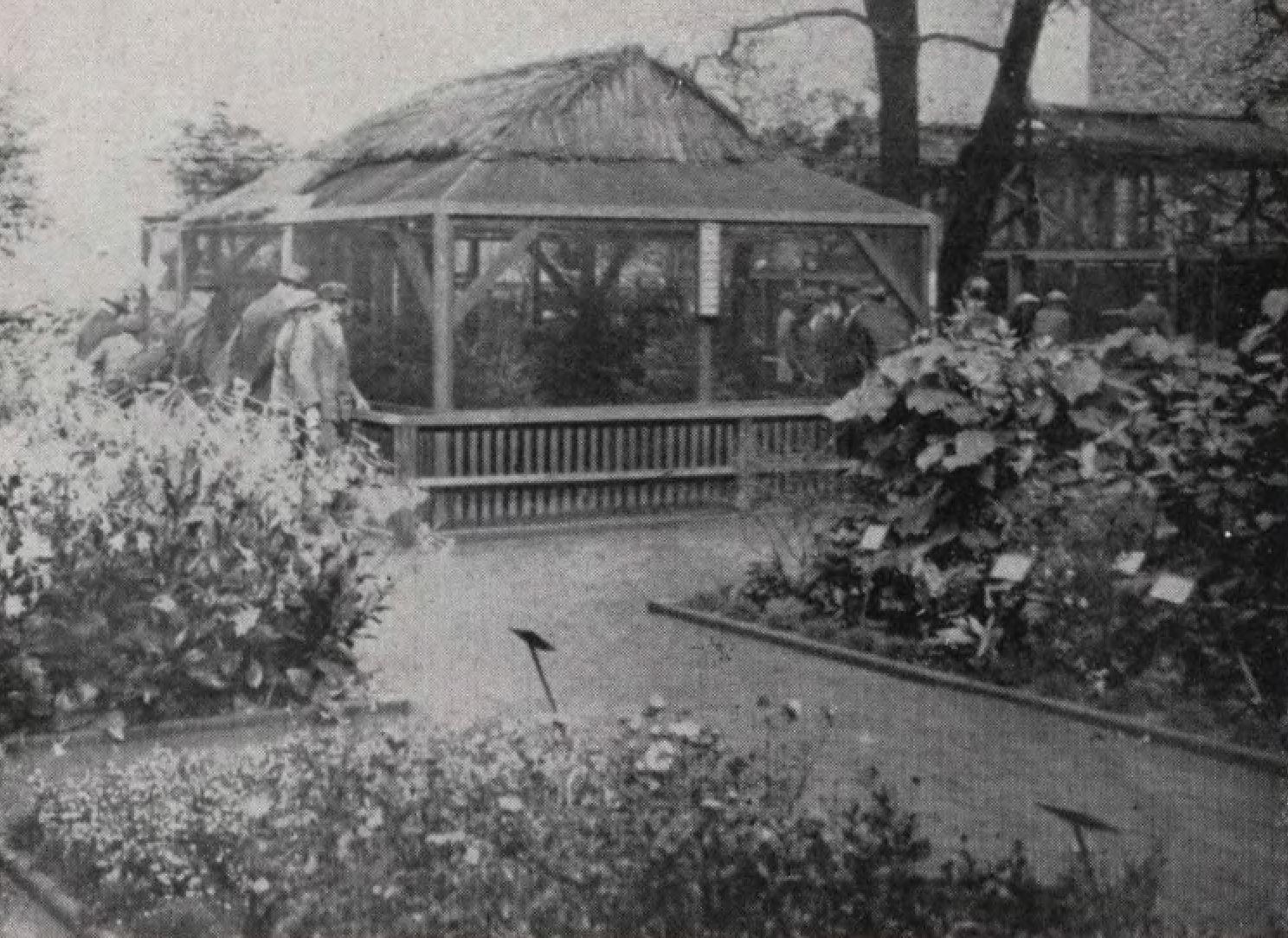 Zwierzyniec w Katowicach