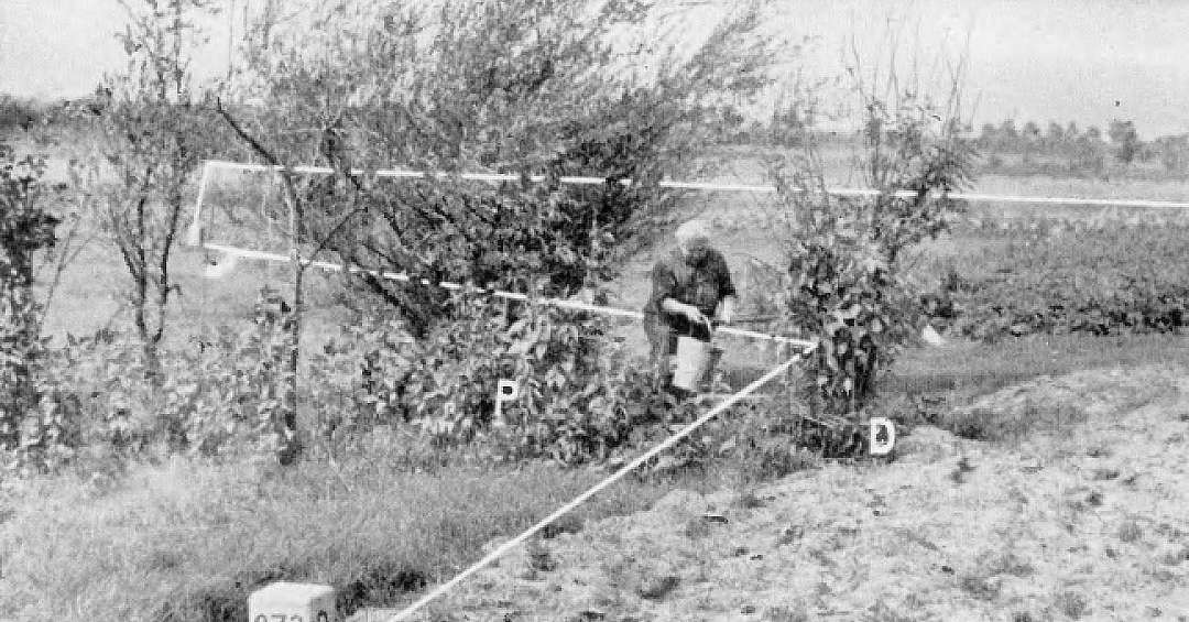 Dom w Polsce, a pole w Reichu. Sto lat temu Śląsk miał najbardziej absurdalną granicę w Europie