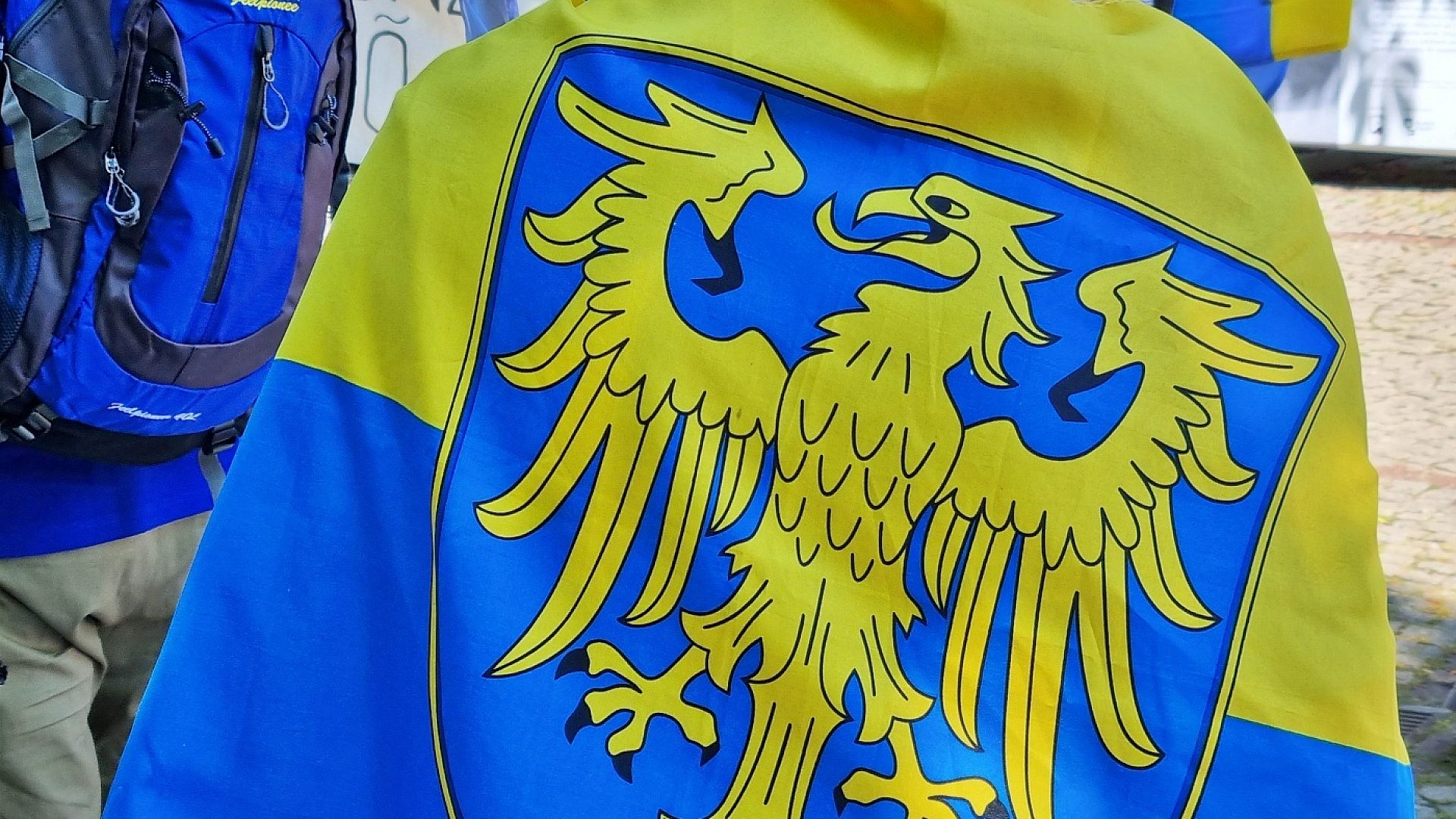 Szafnymy to zaś Czy śląscy regionaliści wrócą do sejmiku Szafnymy to zaś Czy śląscy regionaliści wrócą do sejmiku