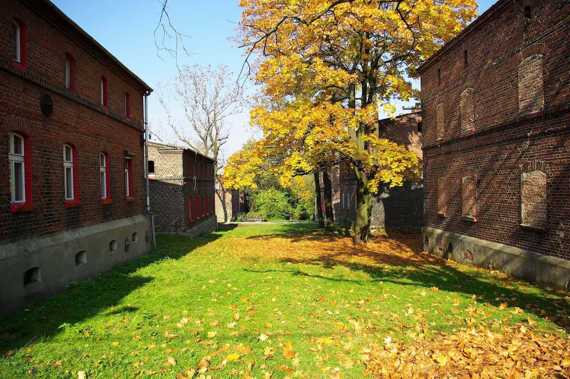 Jesień na Śląsku Jesień na Śląsku