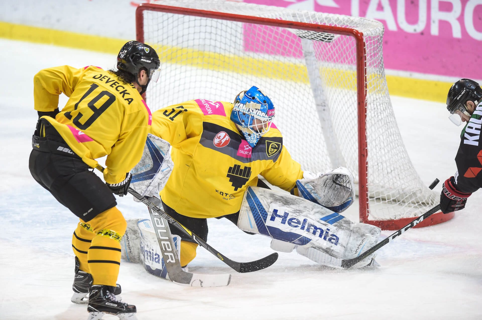 Hokej katowuice Hokej katowuice