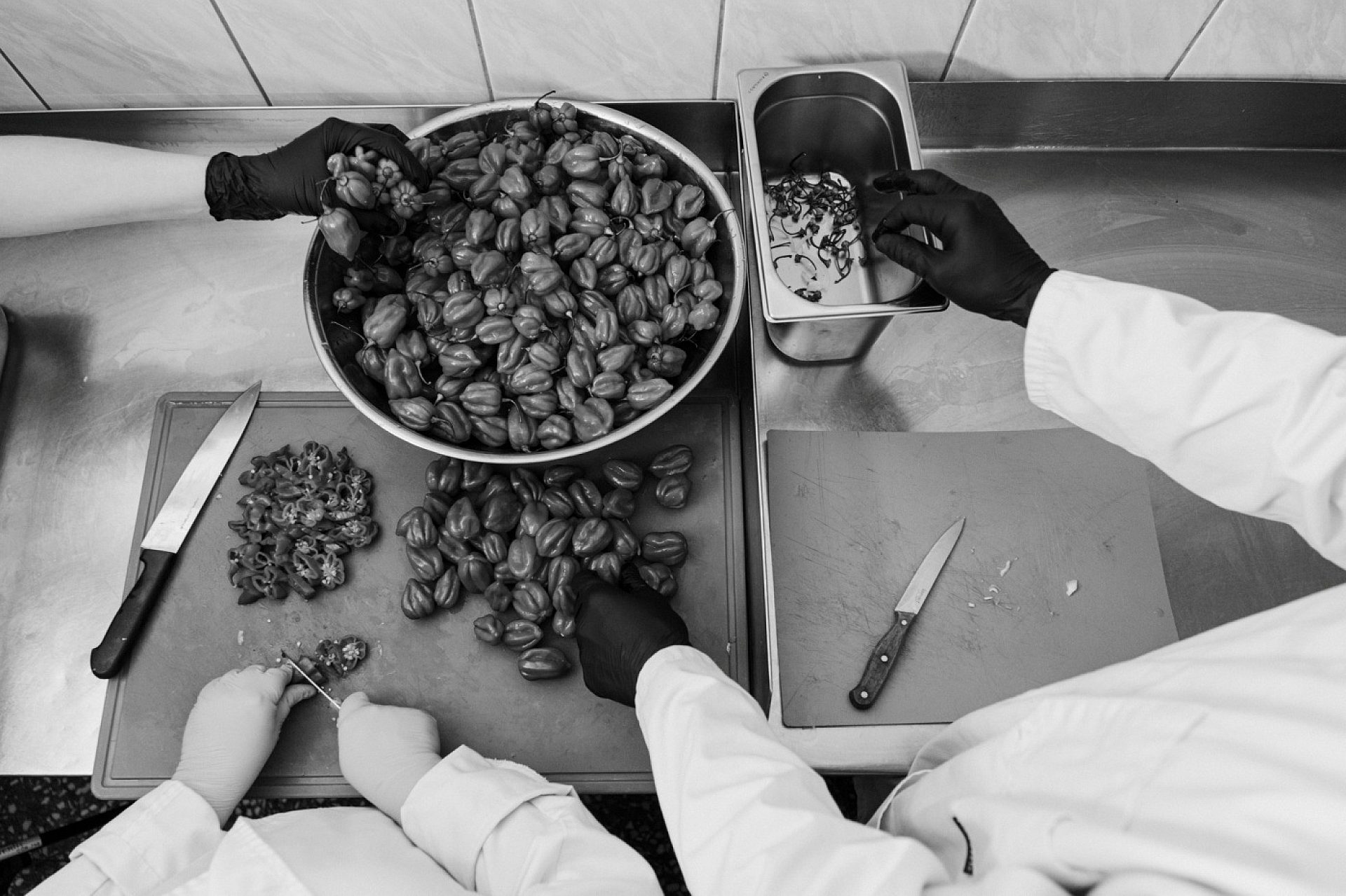 Dziki Bill Dziki Bill