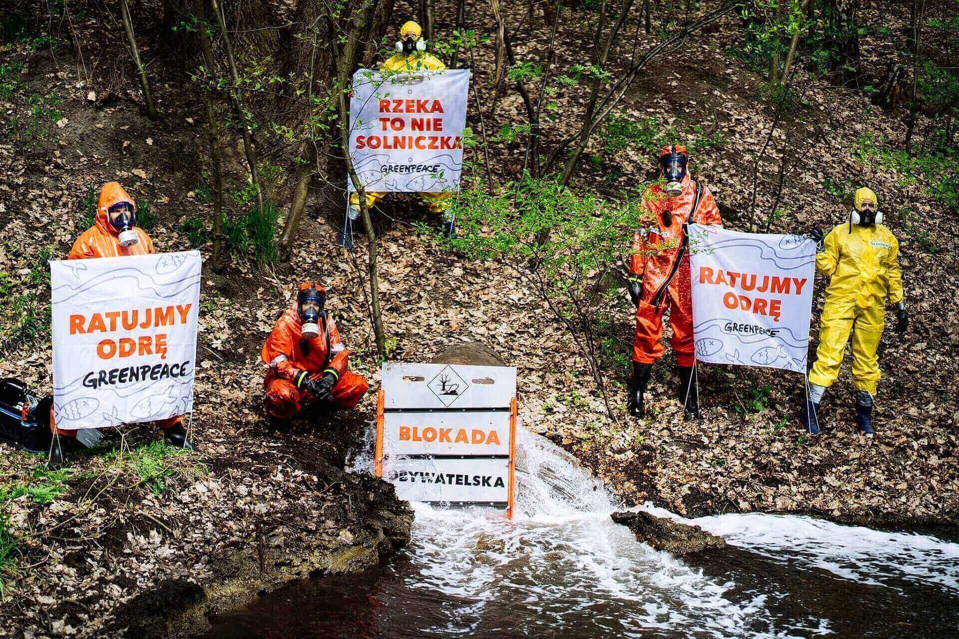 Greenpeace Greenpeace
