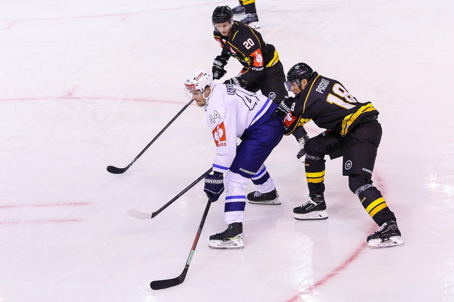 Mistrzowie Polski zagrają w Pucharze Kontynentalnym Mistrzowie Polski zagrają w Pucharze Kontynentalnym