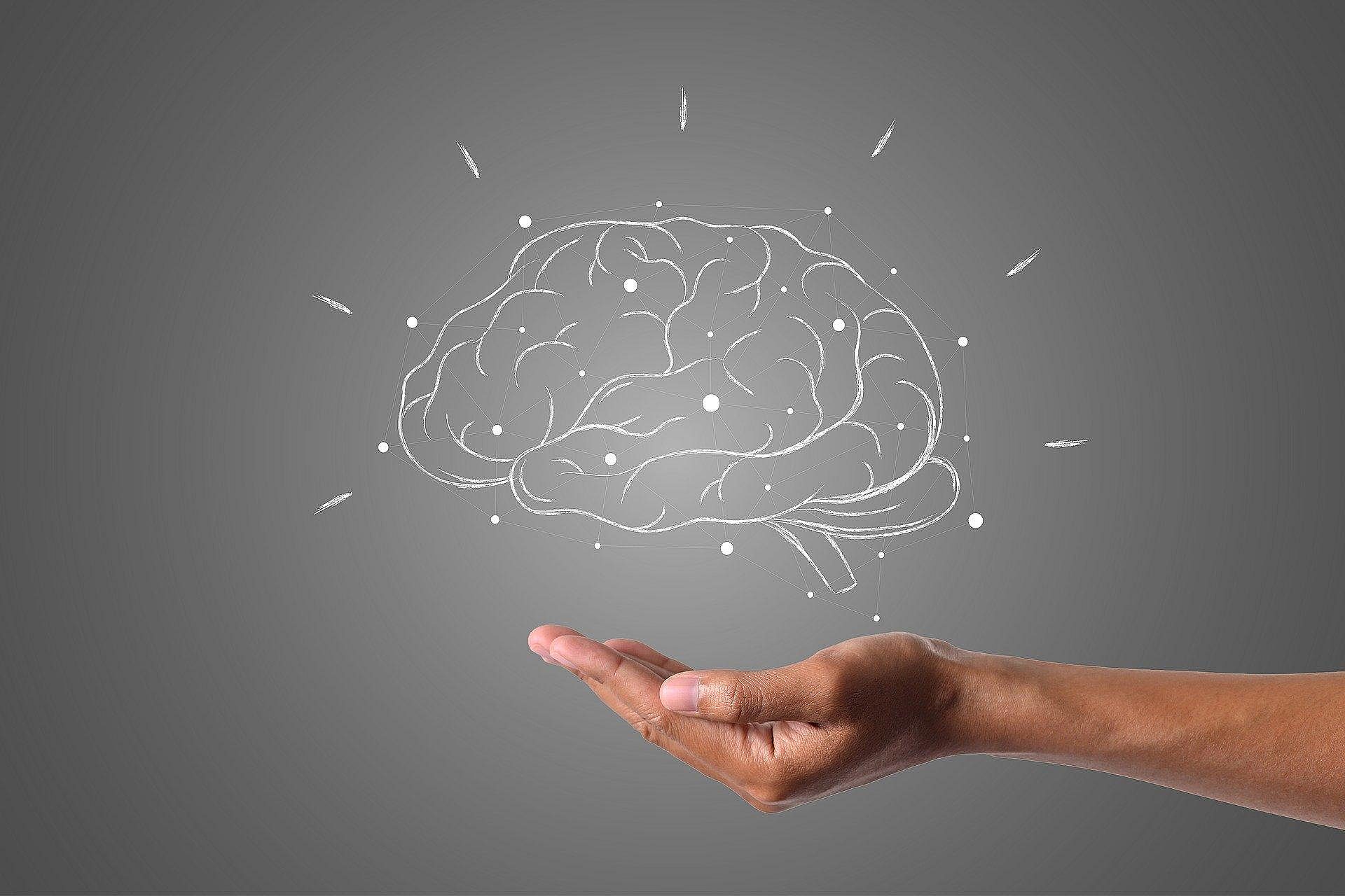 Mózg (zdjęcie ilustracyjne) Mózg (zdjęcie ilustracyjne)