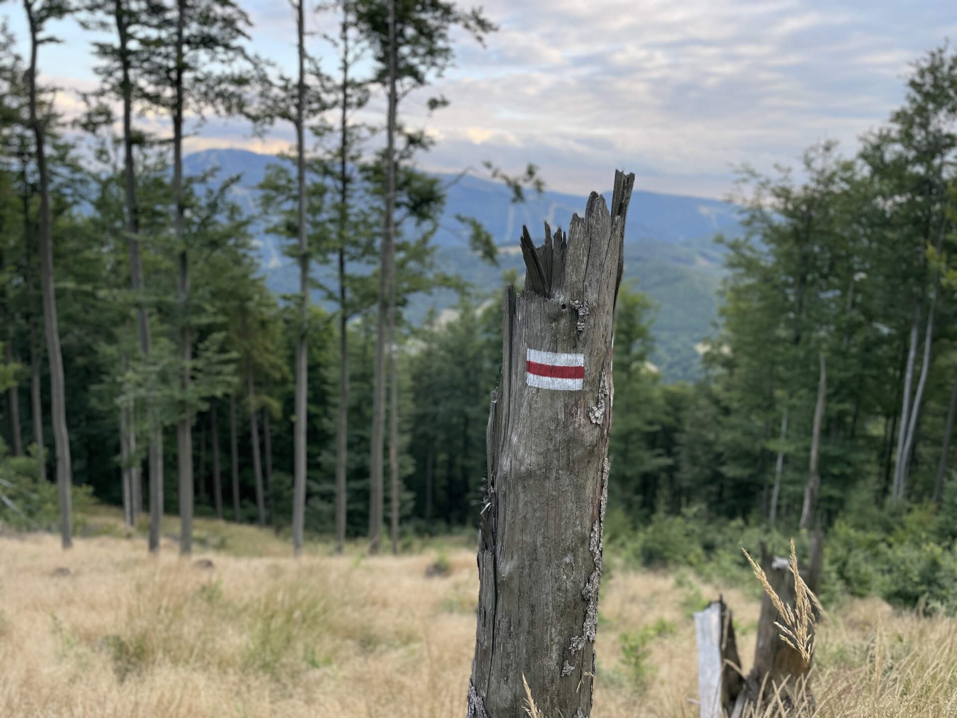 Trasa The Loop korzysta z istniejących szlaków Trasa The Loop korzysta z istniejących szlaków