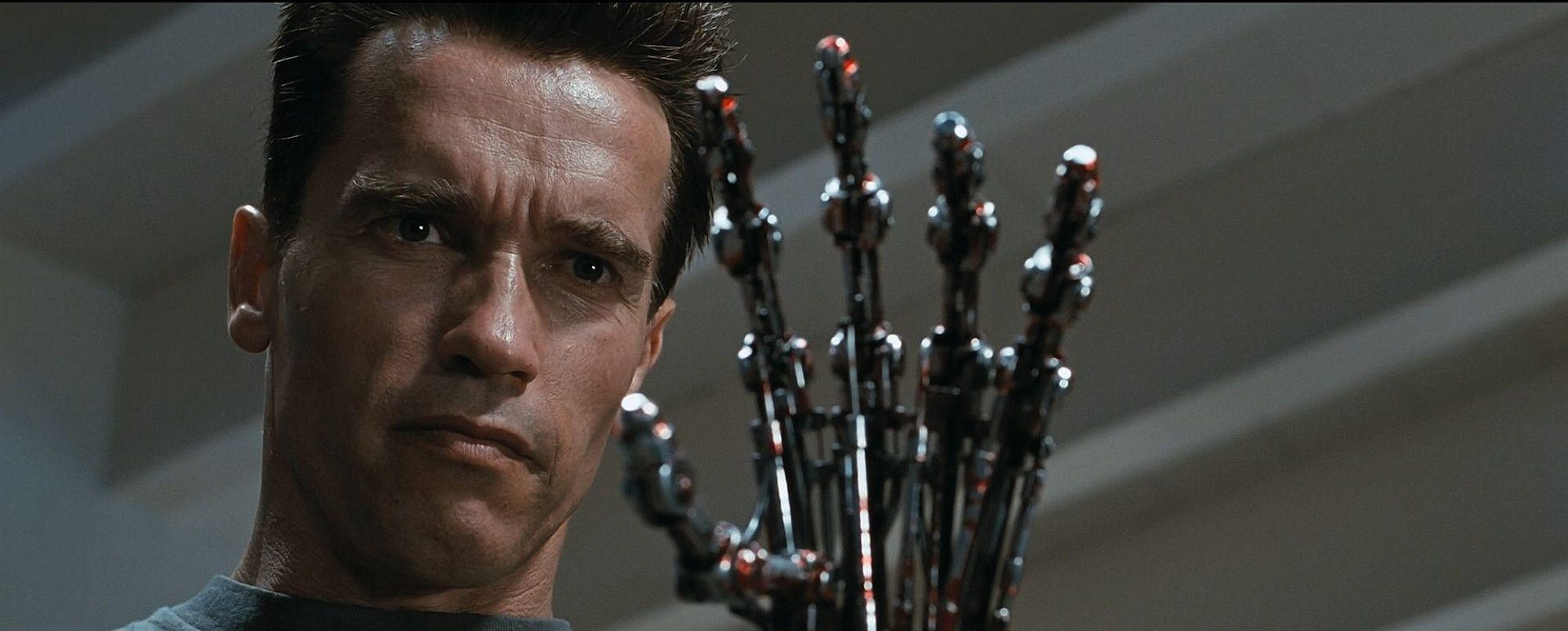 Terminator po slasku Terminator po slasku