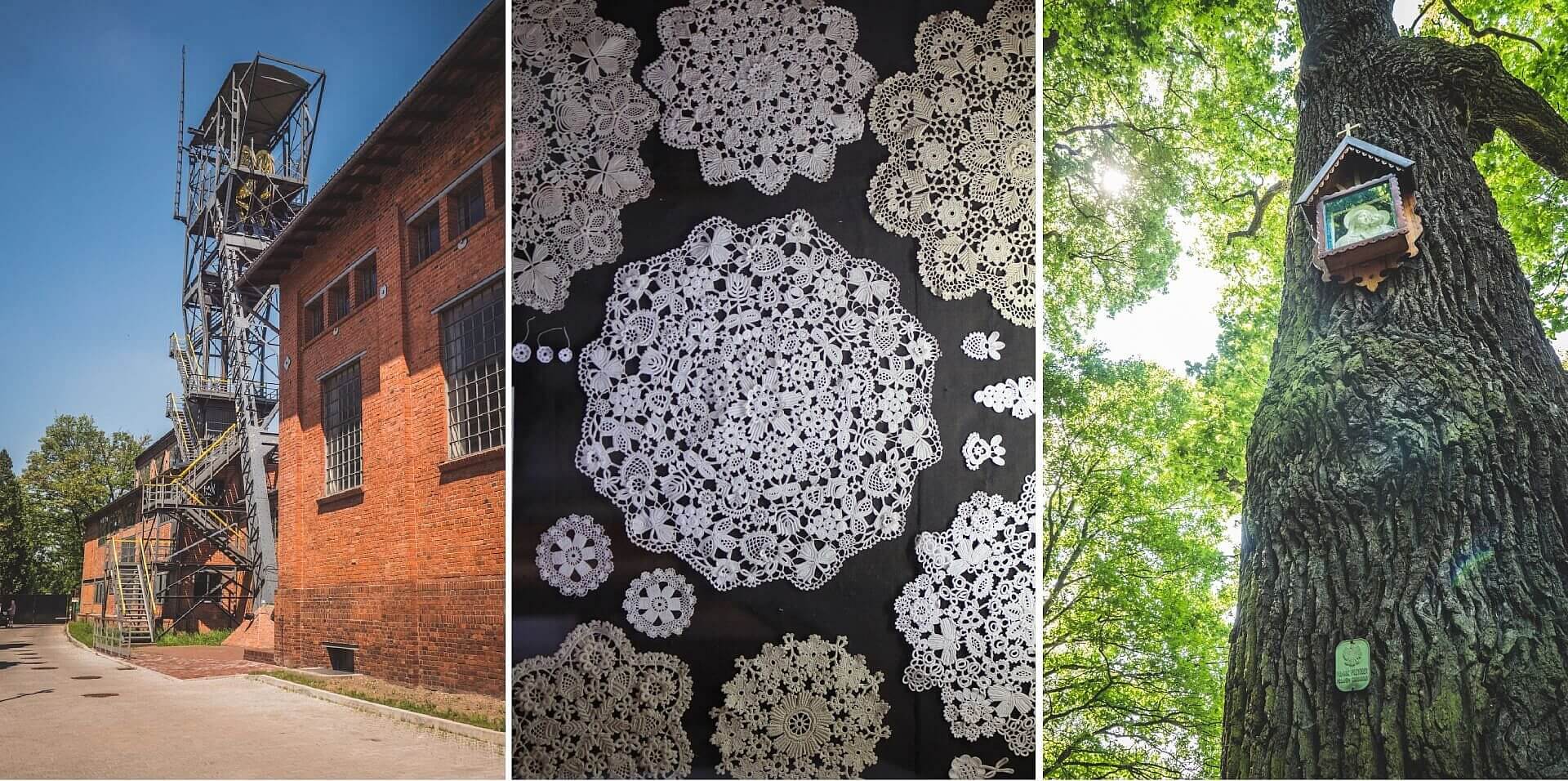 Obrazek artykul rekordy Obrazek artykul rekordy