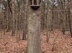 Korytarz mikołowski Korytarz mikołowski