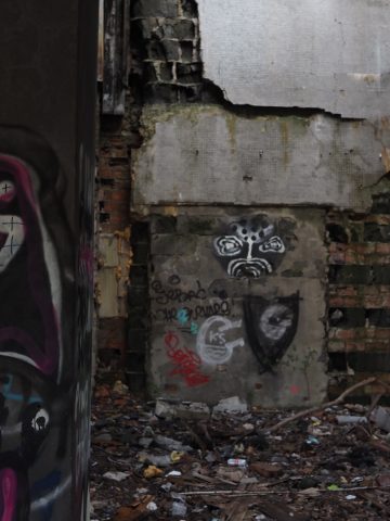 Śląski Instytut Naukowy Śląski Instytut Naukowy