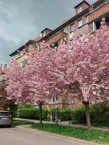 Ulica Teodora Axentowicza Ulica Teodora Axentowicza