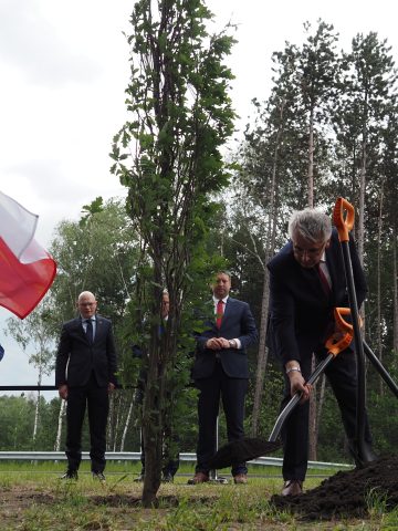 Aleja Polskiego Dziedzictwa Śląska Aleja Polskiego Dziedzictwa Śląska