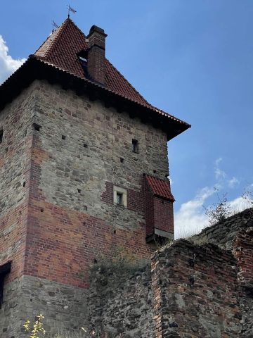 Zamek w Chudowie Zamek w Chudowie