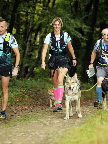 Dogtrekking Wisła Dogtrekking Wisła