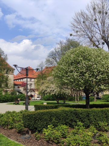 Plac Akademicki w Bytomiu Plac Akademicki w Bytomiu