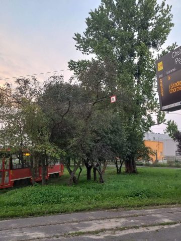 Chebzie Petla Tramwaje Chebzie Petla Tramwaje