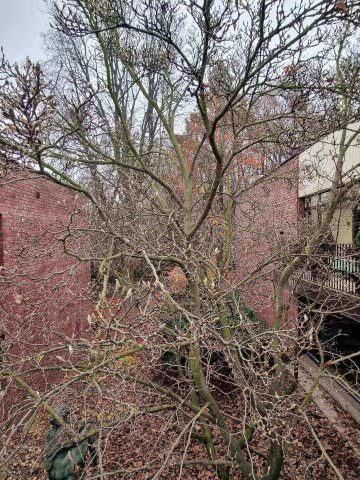 Dyrekcja Parku Śląskiego Dyrekcja Parku Śląskiego