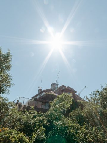 Enklawa willowa w Zabrzu Enklawa willowa w Zabrzu