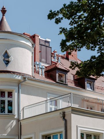 Enklawa willowa w Zabrzu Enklawa willowa w Zabrzu