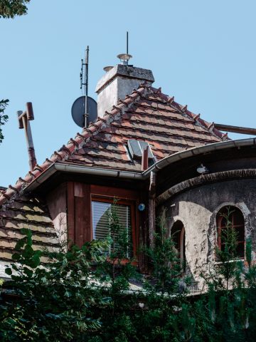 Enklawa willowa w Zabrzu Enklawa willowa w Zabrzu