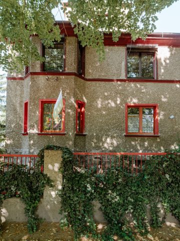 Enklawa willowa w Zabrzu Enklawa willowa w Zabrzu