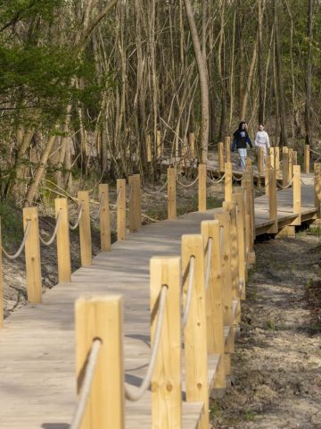 Geopark Grzybowice Zabrze Geopark Grzybowice Zabrze