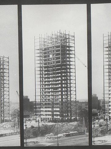 Haperowiec 1758161 Fotopolska Eu Haperowiec 1758161 Fotopolska Eu