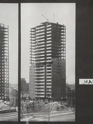 Haperowiec 1758164 Fotopolska Eu Haperowiec 1758164 Fotopolska Eu