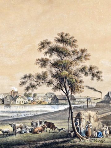 1850, Kuźnica Bogucka. Dziś ścisłe centrum Katowic! 1850, Kuźnica Bogucka. Dziś ścisłe centrum Katowic!