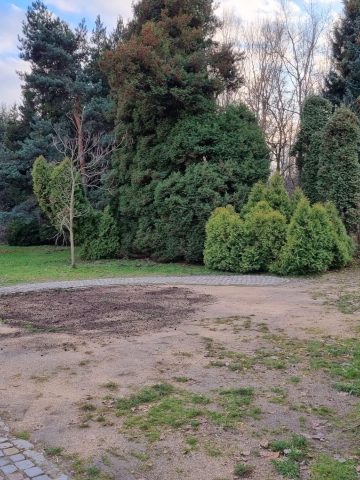 Miejsce po ławce z polską flagą Miejsce po ławce z polską flagą