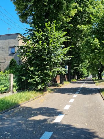 Osiedle Ruch w Chorzowie Osiedle Ruch w Chorzowie