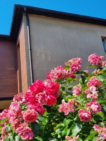 Osiedle Ruch w Chorzowie Osiedle Ruch w Chorzowie